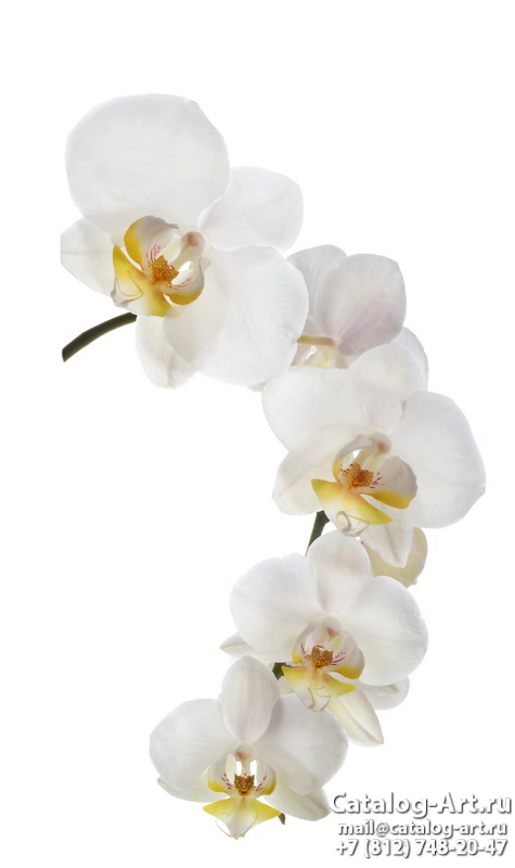Натяжные потолки с фотопечатью - Белые орхидеи 48